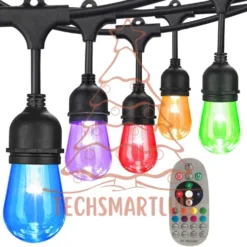 String lights with multicolor bulbs in Texas